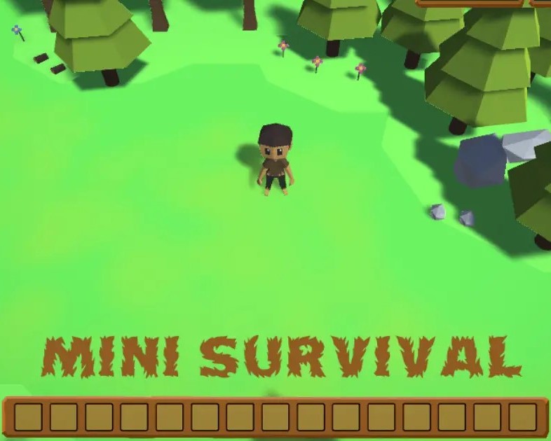 Mini Survival