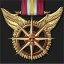 Veteran's Badge of Service