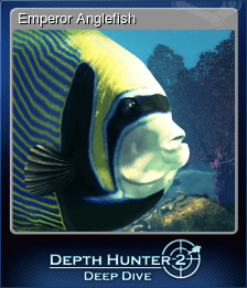 Emperor Anglefish