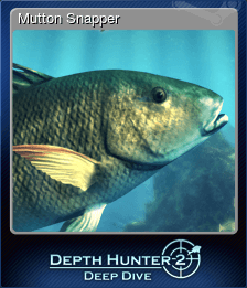 Mutton Snapper