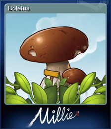 Boletus