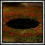 Down the rabbit hole