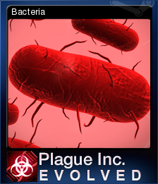 Bacteria