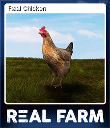Real Chicken