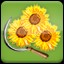Harvest Sunflower (3)