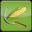 Harvest Corn (1)