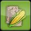 Seeding Corn (2)