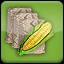Seeding Corn (3)