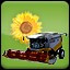 Seeding Sunflower (1)