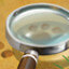 Research Warrant