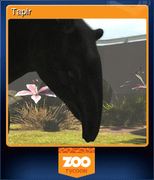 Tapir