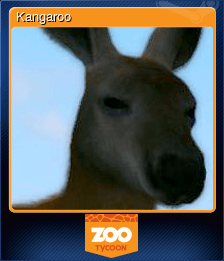 Kangaroo