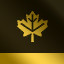 Environment (Gold)