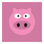 Bucking Bacon
