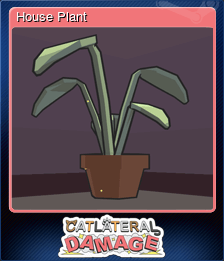 House Plant