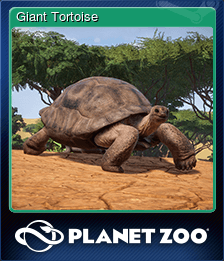 Giant Tortoise