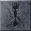 Ants?
