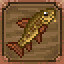 A fish a day!