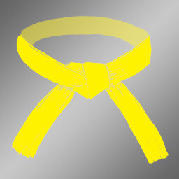 Yellow Belt
