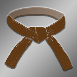 Brown Belt