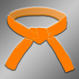 Orange Belt