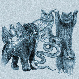 The Beastmaster