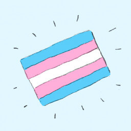 Trans Rights!