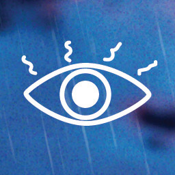 Eyes