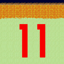 Level 11