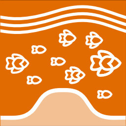 School of fish