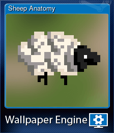 Sheep Anatomy