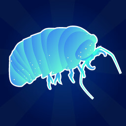 Big blue wood lice!