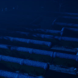 Maze