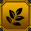 Herb Introduction