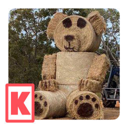 The Big Teddy Bear