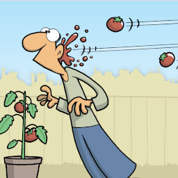 Berry the hatchet!
