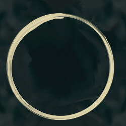 The Last Life