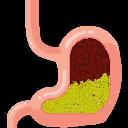 BELLY ACHE