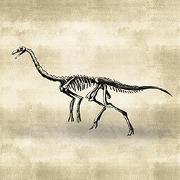 Is it a bird? Is it a lizard? No, it's an ornithomimus!